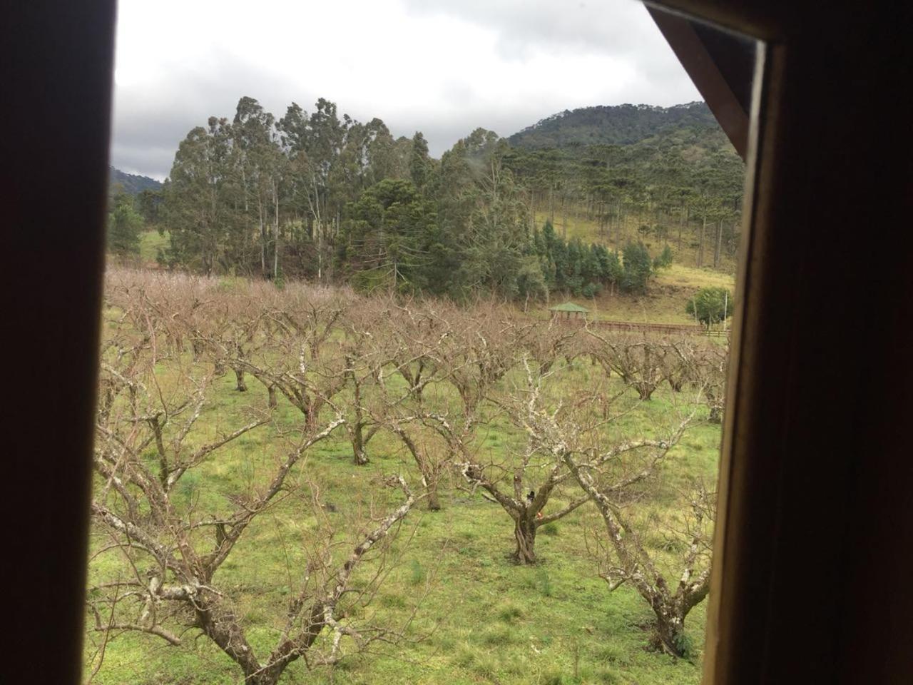 Pousada Sabor Da Roca Urubici Luaran gambar